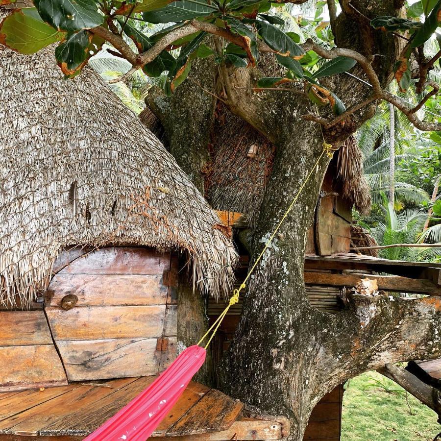 Ensuenos Natural Reserve Little Corn Island Nicaragua Экстерьер фото