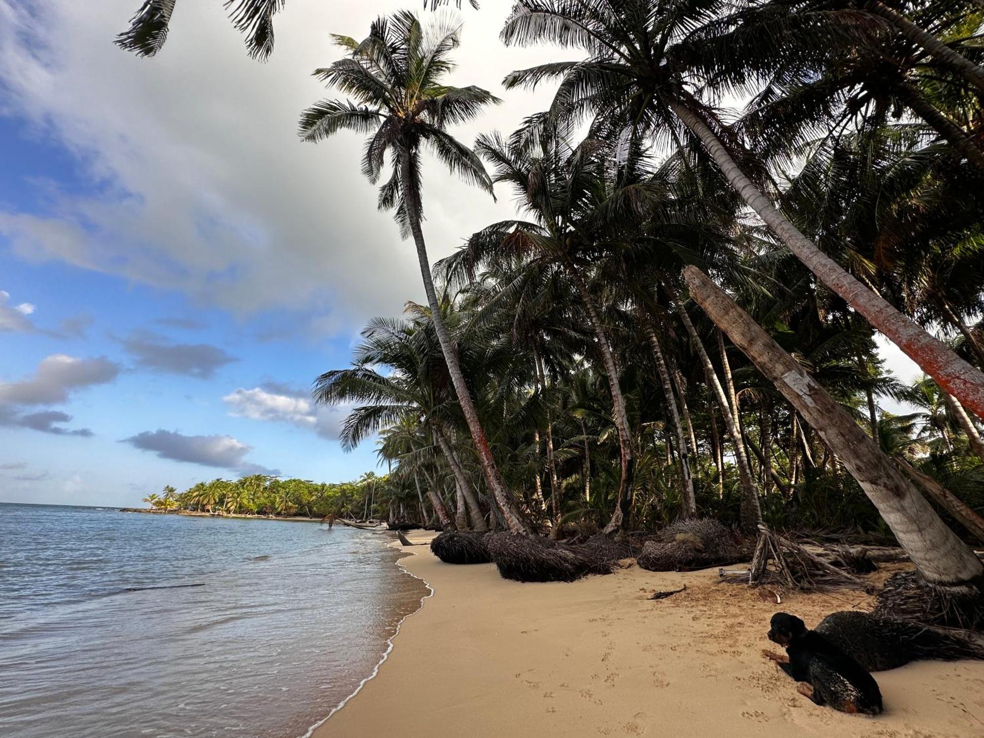 Ensuenos Natural Reserve Little Corn Island Nicaragua Экстерьер фото